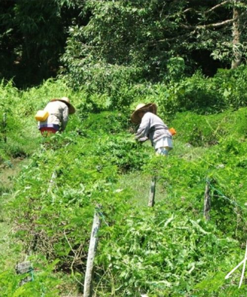 WhatsApp Image 2021-01-11 at 9.54.30 PM (1)(1)