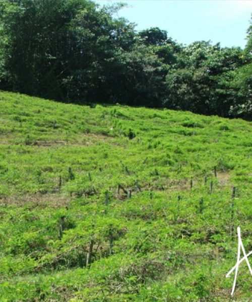 WhatsApp Image 2021-01-11 at 9.54.30 PM(1)