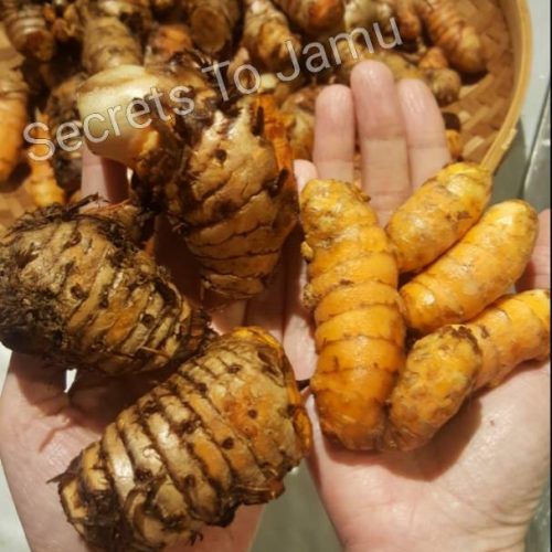 WhatsApp Image 2021-01-11 at 9.56.00 PM